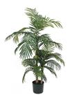 Palm Areca Golden Cane, 150 cm | groen | VB 933140