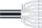 Belden NETWORK Data- en communicatiekabel | 1667E.00305