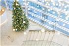Preled kerstboom Hoogte 215 cm, kerstballenpakket Wenen. Plaatsing in overleg.