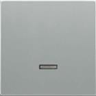 ABB Busch-Jaeger Future Bed.element / centr.pl. schakelmat. | 2CKA006599A2887