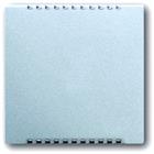 ABB Busch-Jaeger Future Bed.element / centr.pl. schakelmat. | 2CKA006599A2885