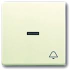 ABB Busch-Jaeger Future, Solo, Carat Bed.element / centr.pl. schakelmat. | 2CKA001751A2746