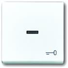 ABB Busch-Jaeger Future, Solo, Axcent, Carat Bed.element / centr.pl. schakelmat. | 2CKA001751A2755