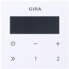 Gira Systeem 55 Intelligent bedieningselement | 248003