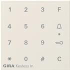 Gira Systeem 55 Toegangscontrole-unit bussysteem | 851301