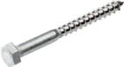 Proftec Hout-/ bouwschroef | 5350.30.62401