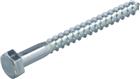 Proftec Hout-/ bouwschroef | 5350.01.61201