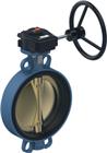 Ubel 0857 Vlinderklepafsluiter | S57.250.16.3.G.A.S.E/E55W250