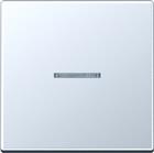 Jung A500 Tastsensor bussysteem | A10911STRFAL