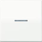 Jung AS500 Tastsensor bussysteem | AS10911STRF