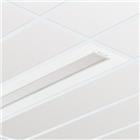 Philips FlexBlend Plafond-/wandarmatuur | 8719514103016