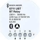 ABB Busch-Jaeger Radiofrequent ontvanger schakelmat. | 2CKA006710A0027
