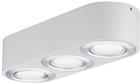 Steinel RS PRO Plafond-/wandarmatuur | 079710