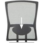 Schaffenburg Lumbar Support for Desk Chair 300-Nen