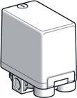TeSensors Drukschakelaar | XMXA06L2435