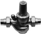 Watts DRV Reduceerventiel | 0501125