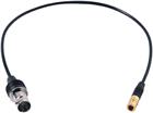 Bosch Security Syst. Bewakingscamera | NBN-MCSMB-03M