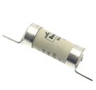 EATON INDUSTRIES Bussmann Smeltpatroon (mes) | BAO63M80