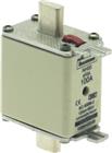 EATON INDUSTRIES Bussmann Smeltpatroon (mes) | 100NHG00B