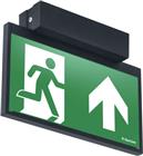 Van Lien Evago Noodverlichtingsarmatuur | 7TCA091130R0521