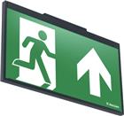 Van Lien Evago Noodverlichtingsarmatuur | 7TCA091130R0523