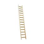 Ladder enkel hout lengte 3.30m 12-sporten