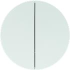 Hager Berker R.1/R.3 Bed.element / centr.pl. schakelmat. | 85142139