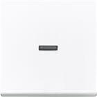 ABB Busch-Jaeger Future Bed.element / centr.pl. schakelmat. | 2CKA001751A3153