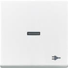 ABB Busch-Jaeger Future Bed.element / centr.pl. schakelmat. | 2CKA001751A3163