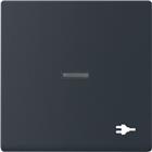 ABB Busch-Jaeger Future Bed.element / centr.pl. schakelmat. | 2CKA001751A3164