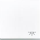 ABB Busch-Jaeger Future, Solo, Axcent, Carat Bed.element / centr.pl. schakelmat. | 2CKA001751A3189