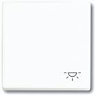 ABB Busch-Jaeger Future Bed.element / centr.pl. schakelmat. | 2CKA001751A3192