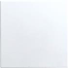 ABB Busch-Jaeger Balance, Infoline Bed.element / centr.pl. schakelmat. | 2CKA001582A0401