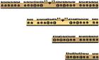 ABB System pro M compact Distributie-klemmenblok | GJI2320073R0016