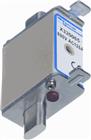 MERSEN Protistor Smeltpatroon (mes) | L320055