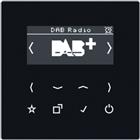 Jung Radio | DABLSSW
