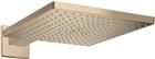 Hansgrohe Raindance E Douchekop | 26238140