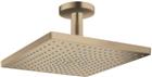 Hansgrohe Raindance E Douchekop | 26250140