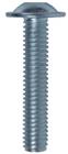 ASF Schroef/bout | 82803218
