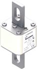 EATON INDUSTRIES Bussmann Smeltpatroon (mes) | 170M4608