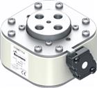 EATON INDUSTRIES Bussmann Smeltpatroon (mes) | 170M7114