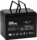 Betta Batteries Lead Crystal Accu (lood) | BLC6-CNFJ-70