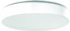 RZB Flat Polymero Kreis Noodverlichtingsarmatuur | 672093.002.7.04