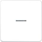 Jung CD RANGE Intelligent bedieningselement | FMCD1700WW