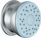 Hansgrohe Bodyvette Douchekop | 28466000
