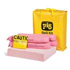 Set absorptiemiddelen draagbaar, agressieve vloeistoffen - Pig