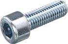 Hoenderdaal Schroef/bout | 2160.11.48301
