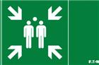 Eaton Blessing FlexiTech Pictogram noodverlichting | FT2EWEC-PICTO-MP