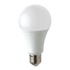 LED-lamp SMD standaard A60 15W fitting E27 VELAMP