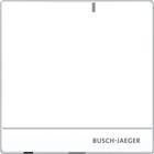 ABB Busch-Jaeger Welcome Toegangscontrolesysteem | 2TMA400260W0009